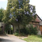 Ein altes Fachwerkhaus mit Toreinfahrt und einem großen Baum davor.