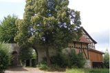 Ein altes Fachwerkhaus mit Toreinfahrt und einem großen Baum davor.