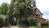 Ein altes Fachwerkhaus mit Toreinfahrt und einem großen Baum davor.