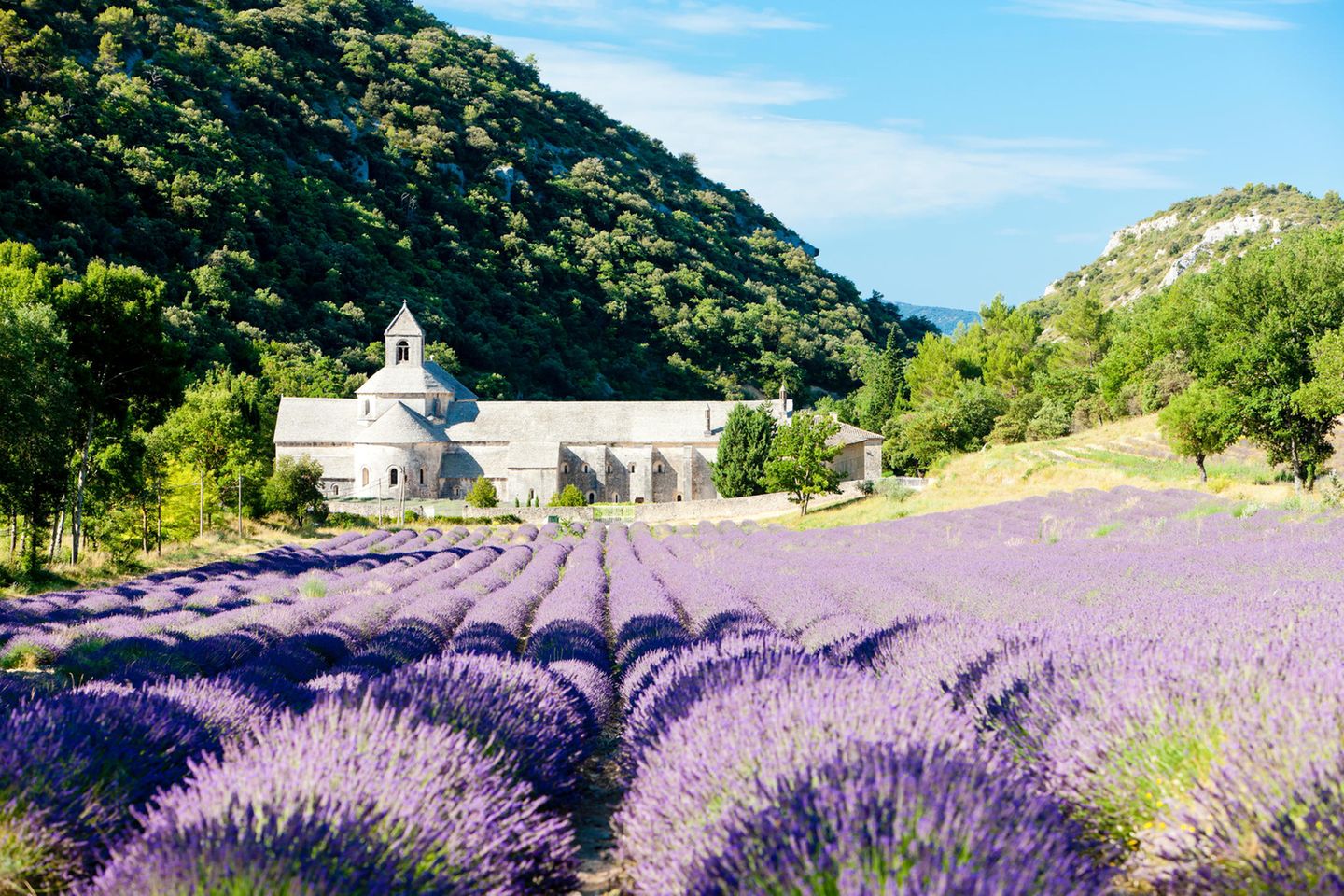 Romanischer Bau, schlicht mit Turm am Fuß eines bewaldeten Hügels, vorne großes Lavendelfeld, ganz hinten ahnt man das Meer.