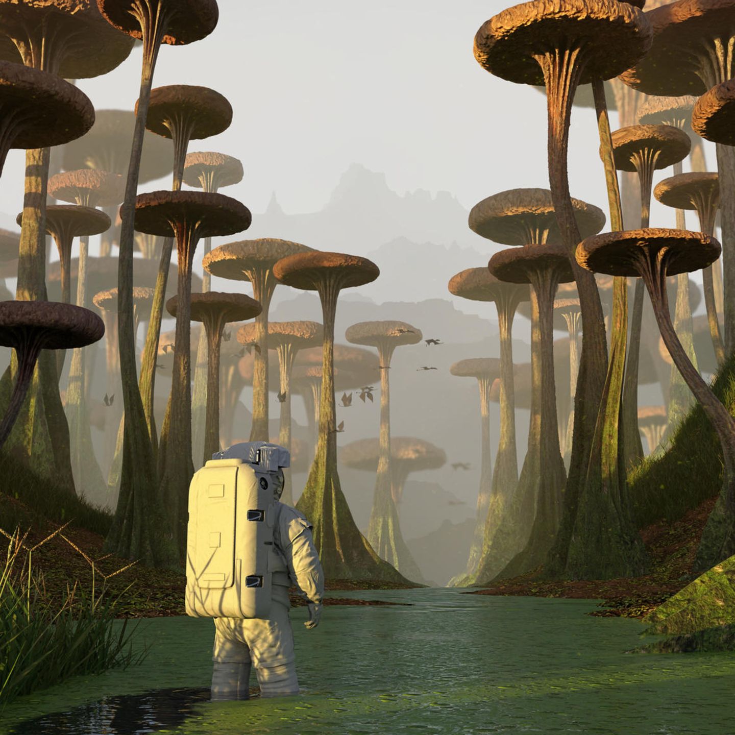 THEMENWOCHE ZUKUNFT: Planet B: Zukunft im All?