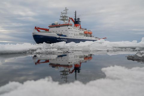 Arktis-Expedition: Die "Polarstern" ließ sich im Rahmen der MOSAiC-Expedition ein Jahr lang im arktischen Ozean. Aktuell ist der deutsche Forschungseisbrecher wieder im hohen Norden unterwegs.