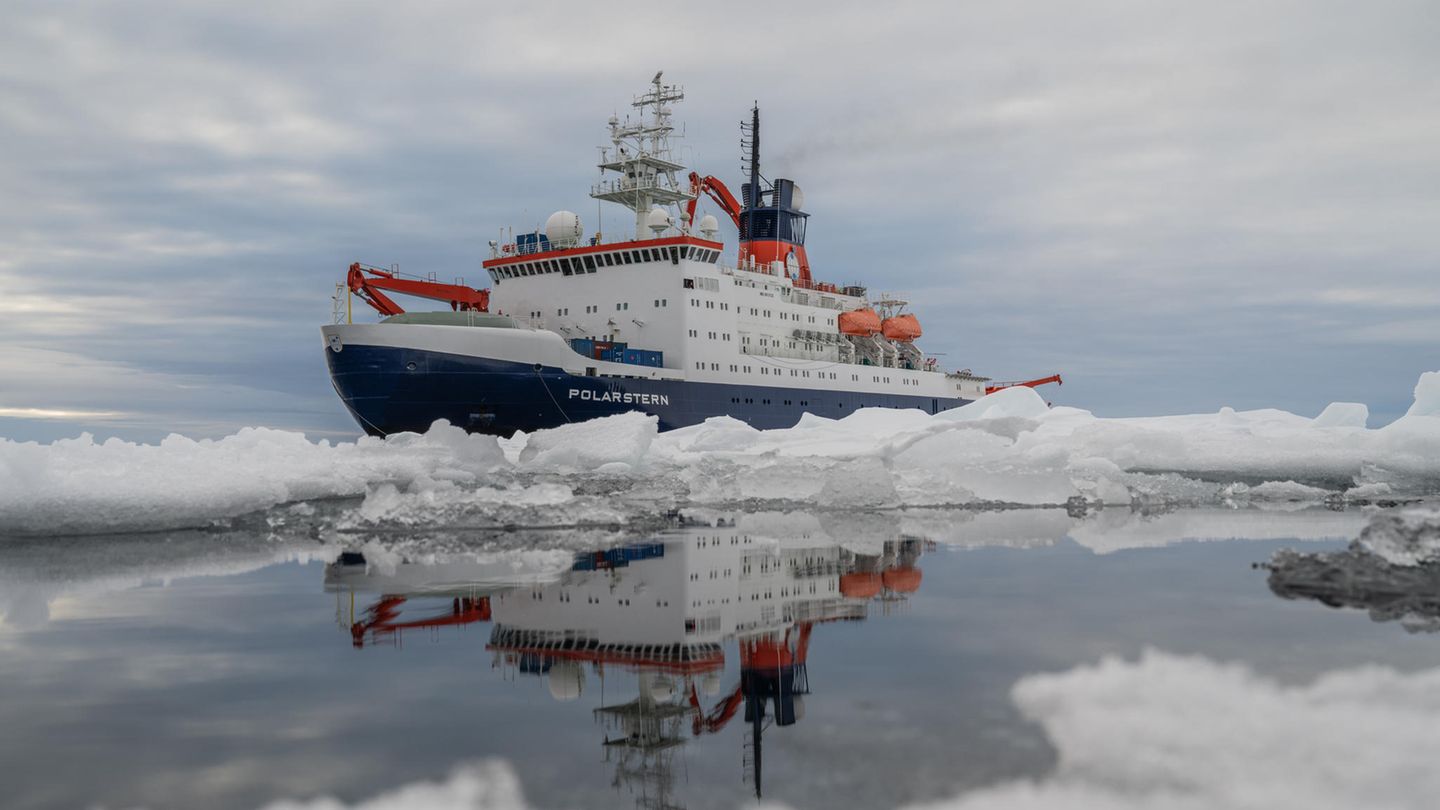 Arktis-Expedition: Die "Polarstern" ließ sich im Rahmen der MOSAiC-Expedition ein Jahr lang im arktischen Ozean. Aktuell ist der deutsche Forschungseisbrecher wieder im hohen Norden unterwegs. Arktis-Expedition: Die "Polarstern" ließ sich im Rahmen der MOSAiC-Expedition ein Jahr lang im arktischen Ozean. Aktuell ist der deutsche Forschungseisbrecher wieder im hohen Norden unterwegs.