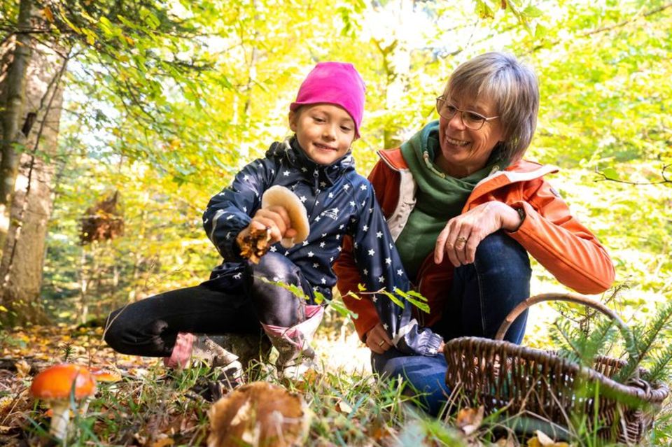 Pilze sammeln mit Kindern im Wald  1.3333