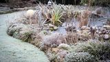 Winterquartier Gartenteich