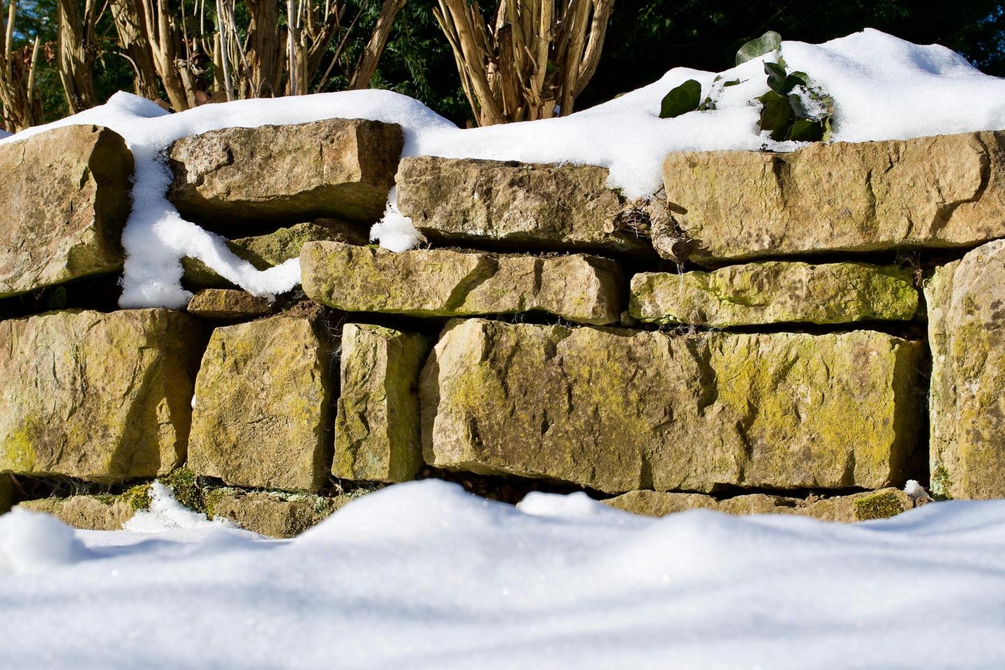 Winterquartier Trockenmauer
