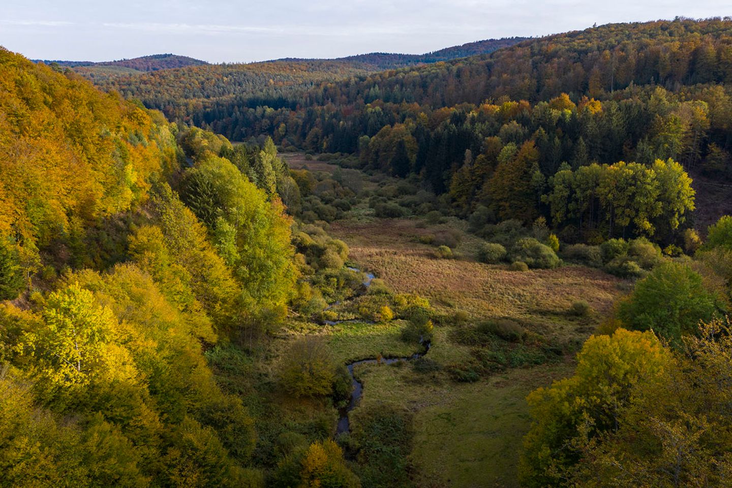 Scheinbar unberührtes Naturwunder Wo einst mit Kanälen, Stauwehren, Gräben und einem Aquädukt Wiesen bewässert wurden, präsentiert sich Naturliebhabern heute mit dem Hafenlohrtal im Spessart eine scheinbar unberührte Naturlandschaft. Auf den artenreichen Feucht- und Nasswiesen leben 30 verschiedene Libellen, fast 50 Tagfalterarten und die heute seltene Heilpflanze Arnika. Durch das Tal führen zahlreiche markierte Wanderwege – und der Europäische Kulturradweg.