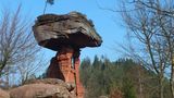 Der Teufelstisch bei Hinterweidenthal ist weder ein Tisch, noch hat er etwas mit dem Teufel zu tun. Es handelt sich um einen 14 Meter hohen pilzförmigen Felsen im deutschen Teil des artenreichen Biosphärenreservats Pfälzerwald-Nordvogesen. Das Naturphänomen verdankt seine ungewöhnliche Form der unterschiedlichen Härte (und Erosionsgeschwindigkeit) von 250 Millionen Jahre alten Sandsteinsedimenten.  Naturfreunde können den Geotop und die umgebenden artenreichen Mischwälder des größten zusammenhängenden Waldgebiets Deutschlands unter anderem auf der 9,5 Kilometer lange Hinterweidenthaler Teufelstischtour erkunden.