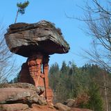 Der Teufelstisch bei Hinterweidenthal ist weder ein Tisch, noch hat er etwas mit dem Teufel zu tun. Es handelt sich um einen 14 Meter hohen pilzförmigen Felsen im deutschen Teil des artenreichen Biosphärenreservats Pfälzerwald-Nordvogesen. Das Naturphänomen verdankt seine ungewöhnliche Form der unterschiedlichen Härte (und Erosionsgeschwindigkeit) von 250 Millionen Jahre alten Sandsteinsedimenten.  Naturfreunde können den Geotop und die umgebenden artenreichen Mischwälder des größten zusammenhängenden Waldgebiets Deutschlands unter anderem auf der 9,5 Kilometer lange Hinterweidenthaler Teufelstischtour erkunden.