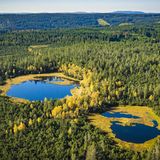 Deutschlands größtes naturbelassenes Hochmoorgebiet bietet Kreuzottern, Libellen, Wollgras, Sonnentau und Bergkiefern ein wichtiges Rückzugsgebiet. Der Natur-Hotspot "Wildsee" liegt auf einem Höhenzug zwischen dem Murg- und Enztal im Naturpark Schwarzwald Mitte/Nord.  Für Entdeckungsfreudige ist das Moor naturverträglich durch einen Holz-Bohlenweg erschlossen. In der Nähe informiert zudem das Infozentrum Kaltenbronn über die Besonderheiten des Moores.