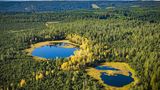 Deutschlands größtes naturbelassenes Hochmoorgebiet bietet Kreuzottern, Libellen, Wollgras, Sonnentau und Bergkiefern ein wichtiges Rückzugsgebiet. Der Natur-Hotspot "Wildsee" liegt auf einem Höhenzug zwischen dem Murg- und Enztal im Naturpark Schwarzwald Mitte/Nord.  Für Entdeckungsfreudige ist das Moor naturverträglich durch einen Holz-Bohlenweg erschlossen. In der Nähe informiert zudem das Infozentrum Kaltenbronn über die Besonderheiten des Moores.