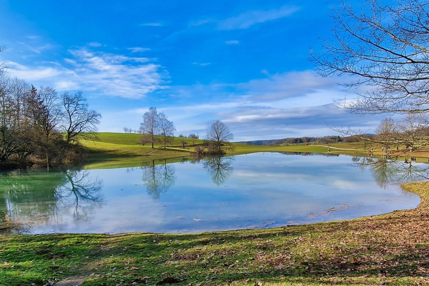 Der Eichener See am Südrand des Schwarzwalds war lange Zeit ein Rätsel. Er verschwand und tauchte auf. Bis heute ist kaum vorherzusagen, wann der Karstsee erscheint, und wie lange er bleibt. Zudem ist er deutschlandweit der einzige See, in dem das Kiemenflusskrebschen (Tanymastix Lacunae) lebt. Trocknet der See aus, überdauert die Spezies in Form von Eiern, aus denen bei der nächsten Überschwemmung die Krebschen schlüpfen.  Zu erwandern ist der See (wenn er da ist) über eine kleine Wandertour des Ortsvereins Schopfheim des Deutschen Wanderverbands.