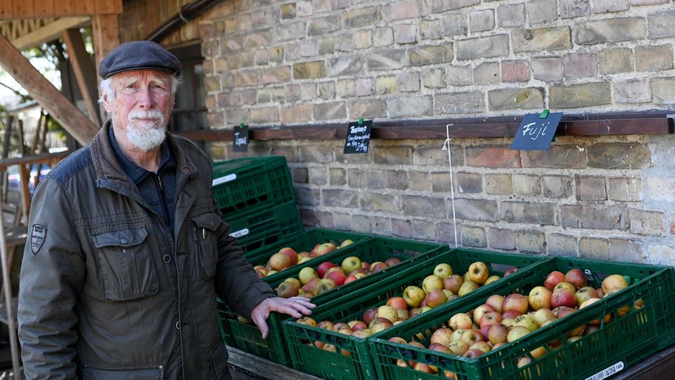 Obstbauer Gerhard Neumann steht vor grünen Kisten mit geernteten Äpfeln