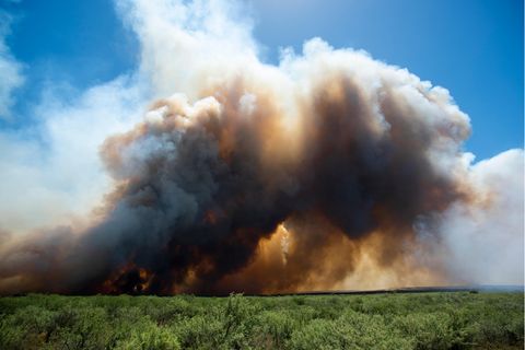 In vielen Teilen der Welt steigt die Waldbrandgefahr. Neuartige Früherkennungs-Sensoren können die Gase und Partikel, die bei den Feuern (hier in Argentinien) entstehen, detektieren und Feuerwehren informieren