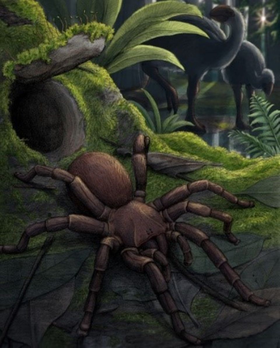 Künstlerische Darstellung der versteinerten Spinne, Megamonodontium mccluskyi