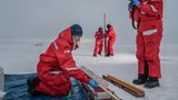 Forscherinnen des Meereisbiologie-Teams untersuchten dazu Eiskerne. Sie interessiert, welche Organismen die Kanäle des Meereises besiedeln - und wie der Klimawandel ihren Lebensraum verändert 