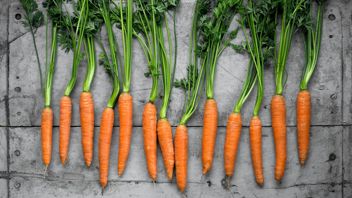 Drei rezessive Gene sind dafür verantwortlich, dass die Karotte orange ist - und sorgen obendrein für deren gesunde Carotinoide