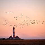 Rotweißer Leuchtturm mit zwei Häusern und Gänseschwärmen am Abendhimmel.