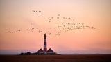 Rotweißer Leuchtturm mit zwei Häusern und Gänseschwärmen am Abendhimmel.