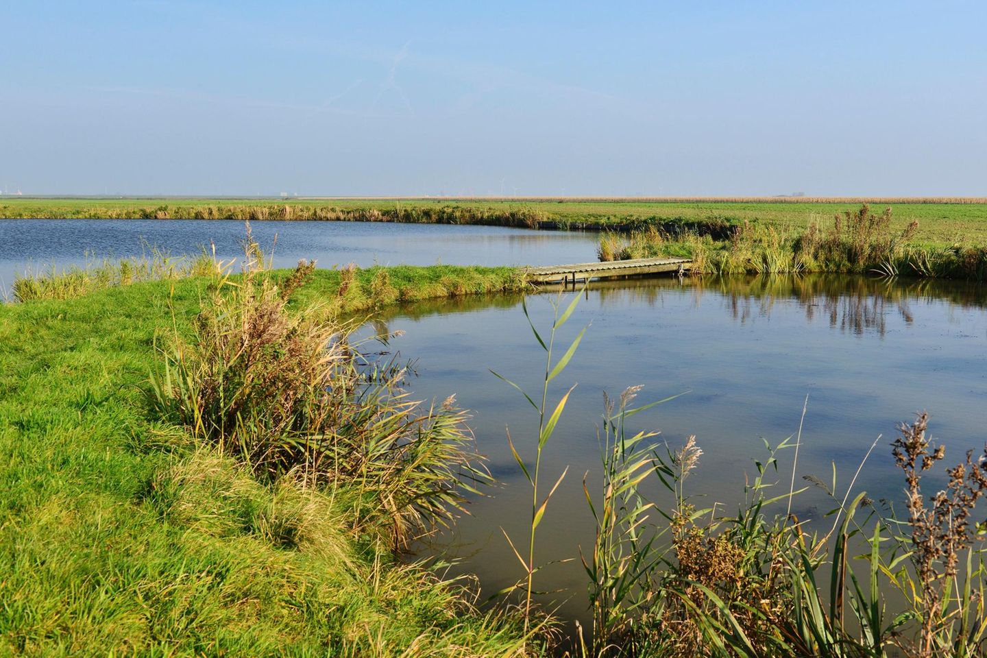 Moore und Sümpfe: das Elbe-Weser-Dreieck Zwei Teiche, Weiden, dazwischen verläuft eine Brücke.