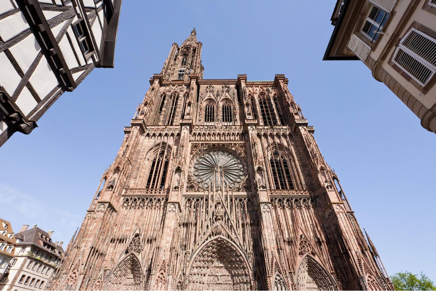 Das Wahrzeichen der Region: Notre Dame Blick von unten auf eine Kathedrale aus Rotsandstein