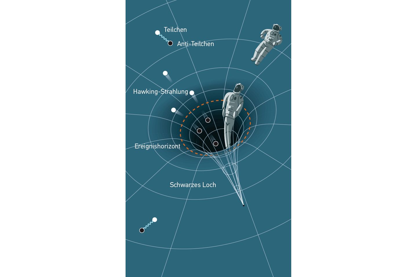 Im All bilden sich stetig verschränkte Partikel-Paare. Am Ereignishorizont werden solche Paare getrennt: Das Teilchen entkommt als Hawking-Strahlung, sein Antipartner stürzt hinein. Dessen Information geht verloren, wenn sich das Schwarze Loch auflöst. Für einen Menschen, der ins Schwarze Loch stürzt, hätte diese Hypothese zur Folge, dass er während des Falls langgezogen wird wie ein Spaghetto
