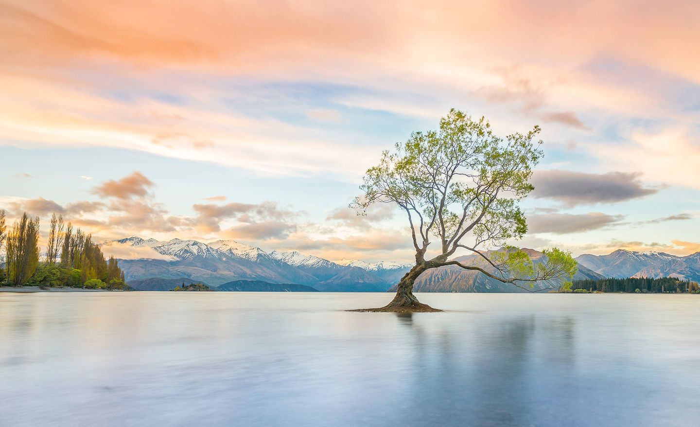 Resilienz ist die Anpassungsfähigkeit, auf Veränderungen zu reagieren – eine Art psychische Widerstandskraft trotz widrigster Umstände. Obwohl ihm das Wasser wortwörtlich bis zum Stamm steht, trotzt dieser allein stehende Baum auf der Südinsel seiner Umwelt und entwächst scheinbar direkt dem Nass