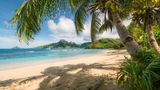 Palmen spenden mit ihren mächtigen Wedeln Schatten. Lagunen mit Traumsandstränden umgeben die vulkanischen Yasawa-Inseln. Wenn, dann möchte man à la Robinson Crusoe deshalb hier im südlichen Pazifischen Ozean angespült werden. Nicht umsonst heißt »Yasawa« übersetzt »Himmel«