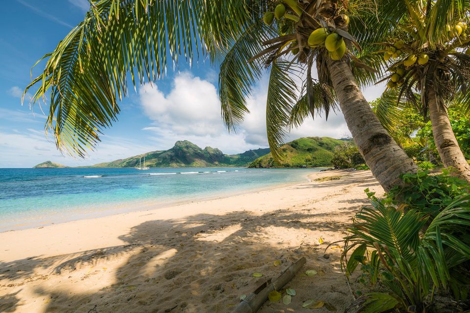 Palmen spenden mit ihren mächtigen Wedeln Schatten. Lagunen mit Traumsandstränden umgeben die vulkanischen Yasawa-Inseln. Wenn, dann möchte man à la Robinson Crusoe deshalb hier im südlichen Pazifischen Ozean angespült werden. Nicht umsonst heißt »Yasawa« übersetzt »Himmel«  1.5004