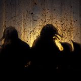 Auf der Fensterbank einer verlassenen Fischfabrik versorgen Dreizehenmöwen ihre Küken. Der Norweger Knut-Sverre Horn wartete, bis gegen Mitternacht die tiefstehende Sommersonne auf das nach Norden ausgerichtete Fenster fiel und die Silhouetten der Vögel schärfte. Dreizehenmöwen nisten normalerweise auf den schmalen Vorsprüngen hoher, steiler Küstenklippen. Durch Meereserwärmung und -verschmutzung sind ihre Bestände stark zurückgegangen, und einige von ihnen haben Zuflucht in den Städten gesucht