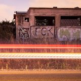 Der junge Israeli Carmel Bechler entdeckte Schleiereulen in einem verlassenen Gebäude nahe einer stark befahrenen Straße. Zusammen mit seinem Vater nutzte er das Auto der Familie als Versteck und verwendete lange Belichtungszeiten, um die Lichtspuren des vorbeifahrenden Verkehrs einzufangen. Sein Bild gewann den Nachwuchspreis. Israel hat die dichteste Schleiereulenpopulation der Welt. Im Rahmen eines Projekts wurden Nistkästen in der Nähe von Ackerflächen angebracht. Da die Eulen Nagetiere jagen, die Saatgut und Feldfrüchte fressen, konnte so der Einsatz von Pestiziden verringert werden