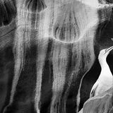 Trotz stürmischer See gelang es Rachel Bigsby, vom Boot aus Basstölpel auf der Isle of Noss in Schottland zu fotografieren. in den steilen Felsen, von Guano weiß gezeichnet, entdeckte sie ein Paar, die Hälse ineinander verschränkt. Jeden Sommer brüten mehr als 22.000 Basstölpel in den Felsvorsprüngen. Vom Ausbruch der Vogelgrippe im Jahr 2022 war ihre Art am stärksten betroffen