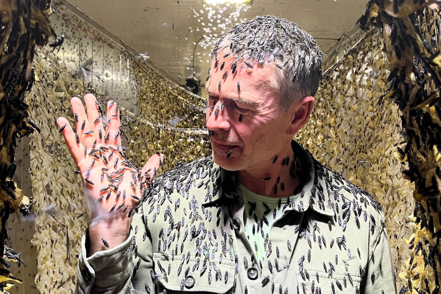 Die große Geo-Story mit Dirk Steffens Dirk Steffens von Kopf bis Fuß bedeckt mit Soldatenfliegen