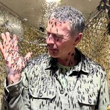 Dirk Steffens von Kopf bis Fuß bedeckt mit Soldatenfliegen