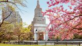 Im Frühjahr verwandeln sich die Parks und Gärten der Megastadt in ein Meer aus zarten Blüten. So auch die Umgebung des Washington Square Arch an der Fifth Avenue. In Japan gibt es ein Wort für das Schwelgen in der Pracht der Kirschblüten: »Hanami«