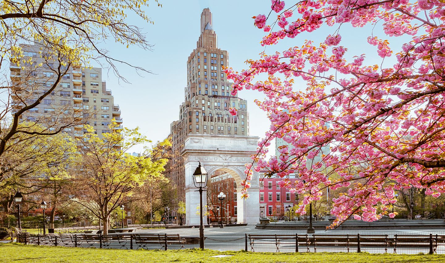Im Frühjahr verwandeln sich die Parks und Gärten der Megastadt in ein Meer aus zarten Blüten. So auch die Umgebung des Washington Square Arch an der Fifth Avenue. In Japan gibt es ein Wort für das Schwelgen in der Pracht der Kirschblüten: »Hanami«