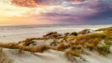 Es mag abwegig wirken, im Winter ans Meer zu fahren. Umso reicher werden jene belohnt, die es dennoch wagen. Und zwar nicht nur, wie hier in Nordfriesland, mit einer unerwartet bunten Farbpalette. Sondern auch mit etwas, das sonst unerreichbar bleibt: mit der Abwesenheit anderer Menschen