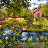 Nein, hier ist nicht versehentlich eine Seite aus einem Ostasien-Kalender abgedruckt worden. Das Teehaus steht im halb chinesisch, halb englisch anmutenden Landschaftspark von Schloss Oranienbaum am Rand des UNESCO-Welterbes "Gartenreich Dessau-Wörlitz"