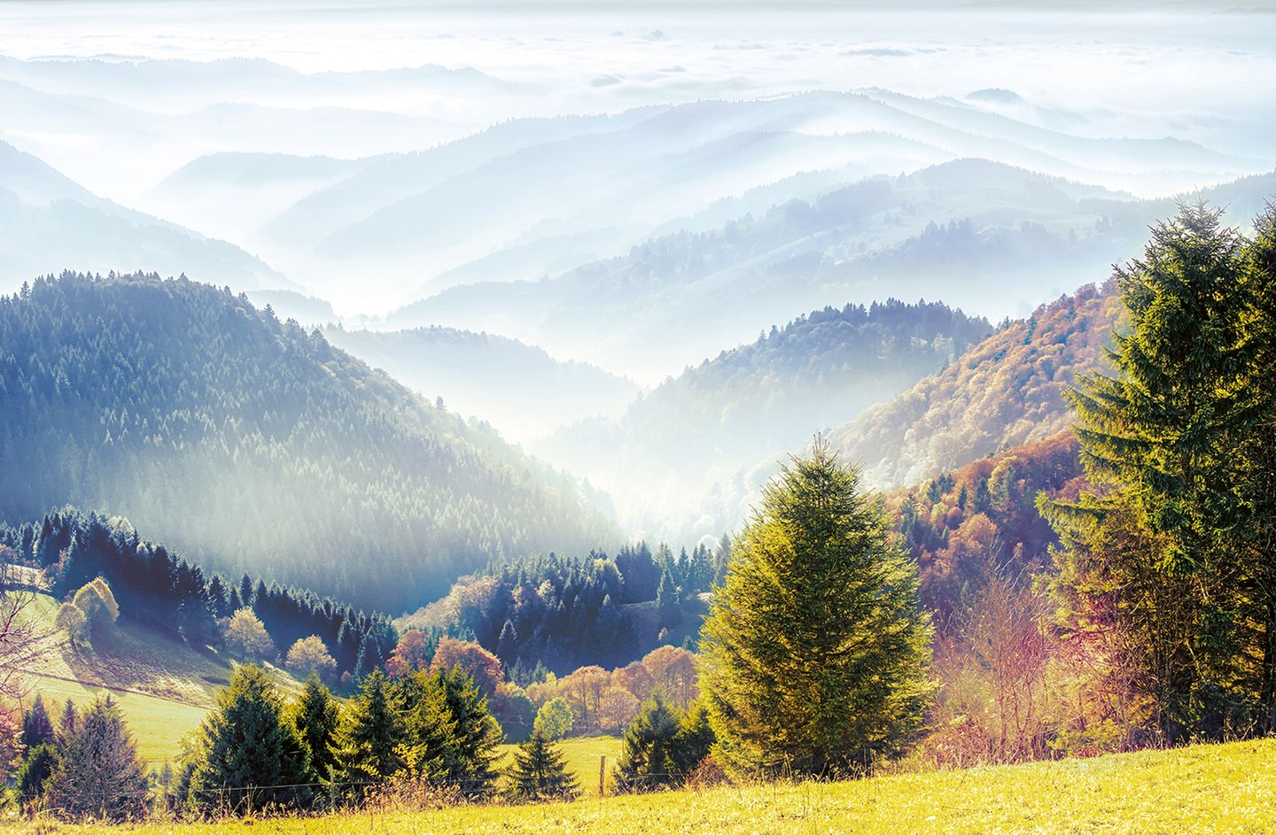 Schwarzwald, Baden-Württemberg Angesichts der strahlend-herbstlichen Pracht im Vordergrund mag sich die Frage stellen, wie das höchste deutsche Mittelgebirge eigentlich zu seinem Namen kam. Aber sobald der Blick auf den Nebel in den fichtenbestandenen Hängen fällt, wird klar: Es kann finster werden, tief im Schwarzwald