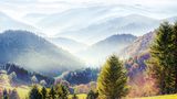 Angesichts der strahlend-herbstlichen Pracht im Vordergrund mag sich die Frage stellen, wie das höchste deutsche Mittelgebirge eigentlich zu seinem Namen kam. Aber sobald der Blick auf den Nebel in den fichtenbestandenen Hängen fällt, wird klar: Es kann finster werden, tief im Schwarzwald