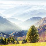 Angesichts der strahlend-herbstlichen Pracht im Vordergrund mag sich die Frage stellen, wie das höchste deutsche Mittelgebirge eigentlich zu seinem Namen kam. Aber sobald der Blick auf den Nebel in den fichtenbestandenen Hängen fällt, wird klar: Es kann finster werden, tief im Schwarzwald