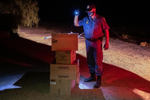 Ein Polizist inspiziert die Kisten eines Wilderers, den er in der Wüste auf frischer Tat ertappt hat. Darin: Conophyten, illegal geerntet. Die seltenen knödeligen Wildpflanzen (l.) bringen auf dem Schwarzmarkt viel Geld