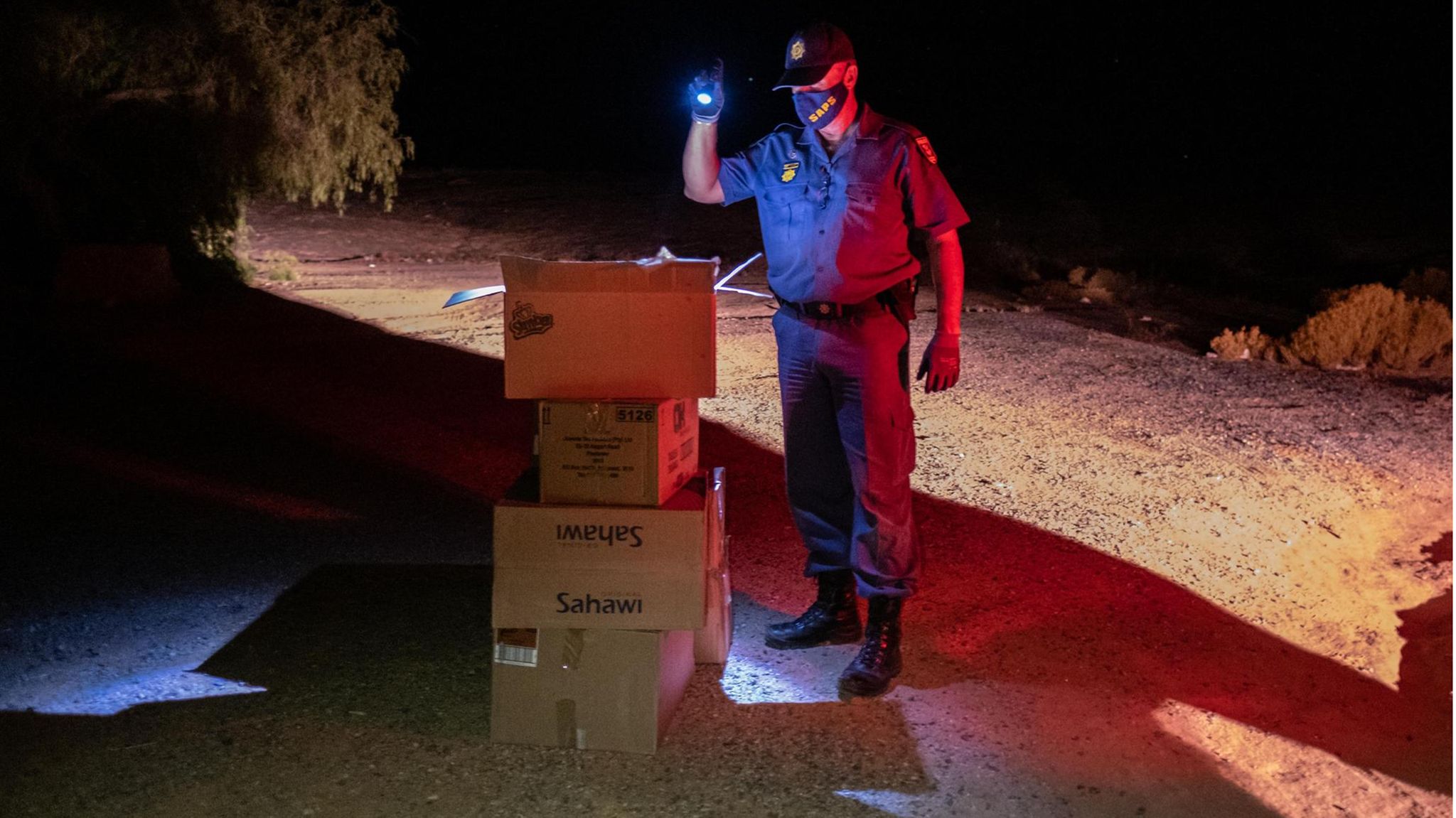 Ein Polizist inspiziert die Kisten eines Wilderers, den er in der Wüste auf frischer Tat ertappt hat. Darin: Conophyten, illegal geerntet. Die seltenen knödeligen Wildpflanzen (l.) bringen auf dem Schwarzmarkt viel Geld