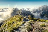 Nur magische Schleiertänze begrüßen Bergsteiger hoch oben, auf dem Dach von Madeira. Denn früh im Jahr ruht das Leben auf dem Pico do Arieiro, dem dritthöchsten Gipfel der Insel im Atlantischen Ozean. Doch bald schon, wenn die Sonne an Kraft gewinnt, sprießen allerorten Blüten hervor – und die Landschaft verwandelt sich in ein leuchtendes Blumenmeer