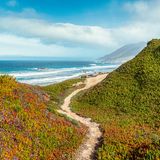 Auf dem schmalen Fußweg durch den Garrapata State Park, direkt am Saum des Pazifischen Ozeans, offenbart sich das berühmte Wunder von Big Sur: Im »Großen Süden«, dem Küstenstreifen von Kalifornien am Fuße des Santa-Lucia-Gebirges, ist die Natur noch überwältigend schön. Manchmal, mit etwas Glück, zeigt sich in den Wellen gar einer ihrer lebensklugen Bewohner: ein Seeotter