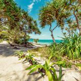 Für manche mag Vanuatu wie das Ende der Welt wirken, das paradiesische Ende: Zehntausende Kilometer entfernt von Europa, noch einige Flugstunden östlich von Australien, liegen die mehr als 80 Inseln fernab im Pazifischen Ozean. Wer bis hierher gelangt, kann die Hast des urbanen Lebens hinter sich lassen: im warmen Sand schlendern, träumen unter Palmen – oder sich treiben lassen im aquamarinblauen Wasser