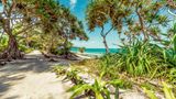 Für manche mag Vanuatu wie das Ende der Welt wirken, das paradiesische Ende: Zehntausende Kilometer entfernt von Europa, noch einige Flugstunden östlich von Australien, liegen die mehr als 80 Inseln fernab im Pazifischen Ozean. Wer bis hierher gelangt, kann die Hast des urbanen Lebens hinter sich lassen: im warmen Sand schlendern, träumen unter Palmen – oder sich treiben lassen im aquamarinblauen Wasser