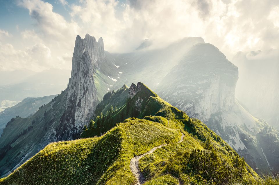 ine majestätische Bergwelt, in der einst Kolosse wüteten, so scheint es: Riesig sind die tektonischen Verwerfungen, durch die der Steig Wanderndein der Saxer Lücke führt. Der Passweg auf etwa 1600 Meter Höhe ist eine wichtige Verbindung im Alpstein. Steile Hänge und tief eingeschnittene Täler, zahlreiche Höhlen und Risse prägen das vorwiegend aus Kalkgestein geformte Gebirgsmassiv in der Ostschweiz  1.3333