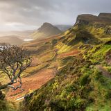 Glimmend setzt die Sonne die Isle of Skye in Szene: Goldenen Schimmer breitet sie über Quiraing, die berühmte Felswelt im Norden der ­schottischen Insel. Gewaltige Erdrutsche legten hier einst die bizarren Formationen aus Basaltgestein frei, Wind und Regen meißelten deren Konturen. Wer zwischen ihnen wandert, bewegt sich gleichsam durch ein Gemälde: rau und romantisch, kraftvoll und lieblich zugleich
