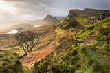 Glimmend setzt die Sonne die Isle of Skye in Szene: Goldenen Schimmer breitet sie über Quiraing, die berühmte Felswelt im Norden der ­schottischen Insel. Gewaltige Erdrutsche legten hier einst die bizarren Formationen aus Basaltgestein frei, Wind und Regen meißelten deren Konturen. Wer zwischen ihnen wandert, bewegt sich gleichsam durch ein Gemälde: rau und romantisch, kraftvoll und lieblich zugleich